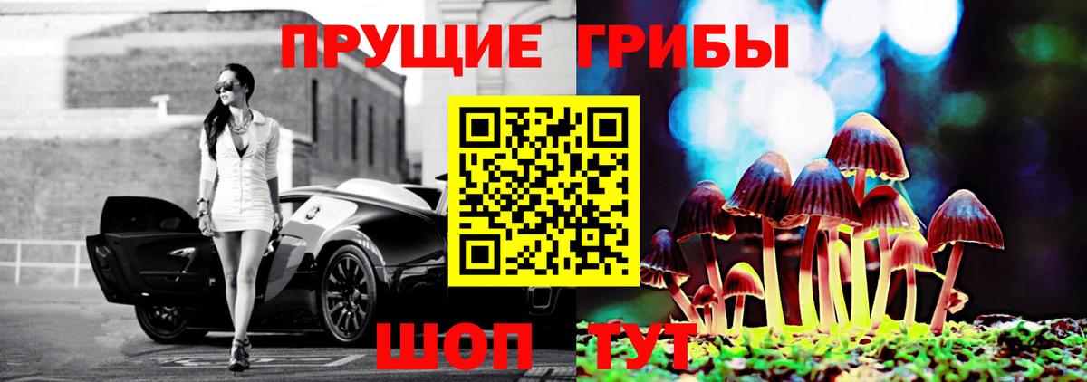 Волжск  Псилоцибиновые грибы мухоморы  Вход с VPN 