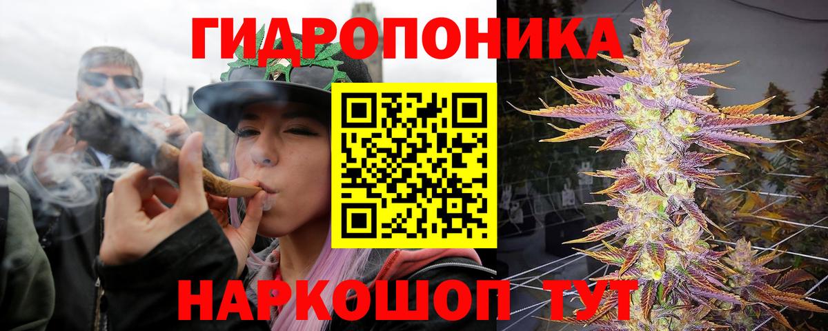 Шишки марихуана марихуана Волжск